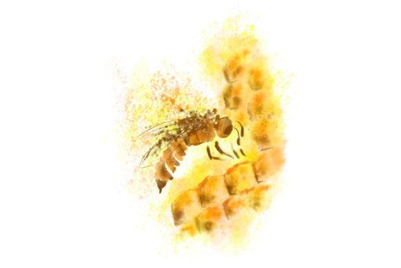Download Watercolor Bee Hive - Bee hive Collection